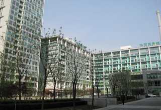 义乌网站建设龙华网站建设